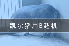 獸用b超機(jī)會給養(yǎng)豬場帶來哪些效益？